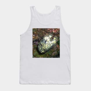 Sculptured Slipper Lobster on Coral Reef Tank Top